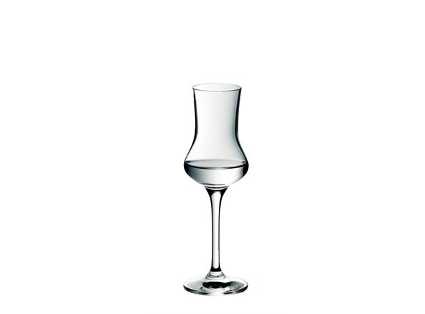 Grappaglass 9,5cl WMF ROYAL Ø:55mm H:173mm 9,5cl